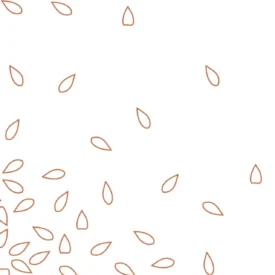 Lindley Williams Hubbell