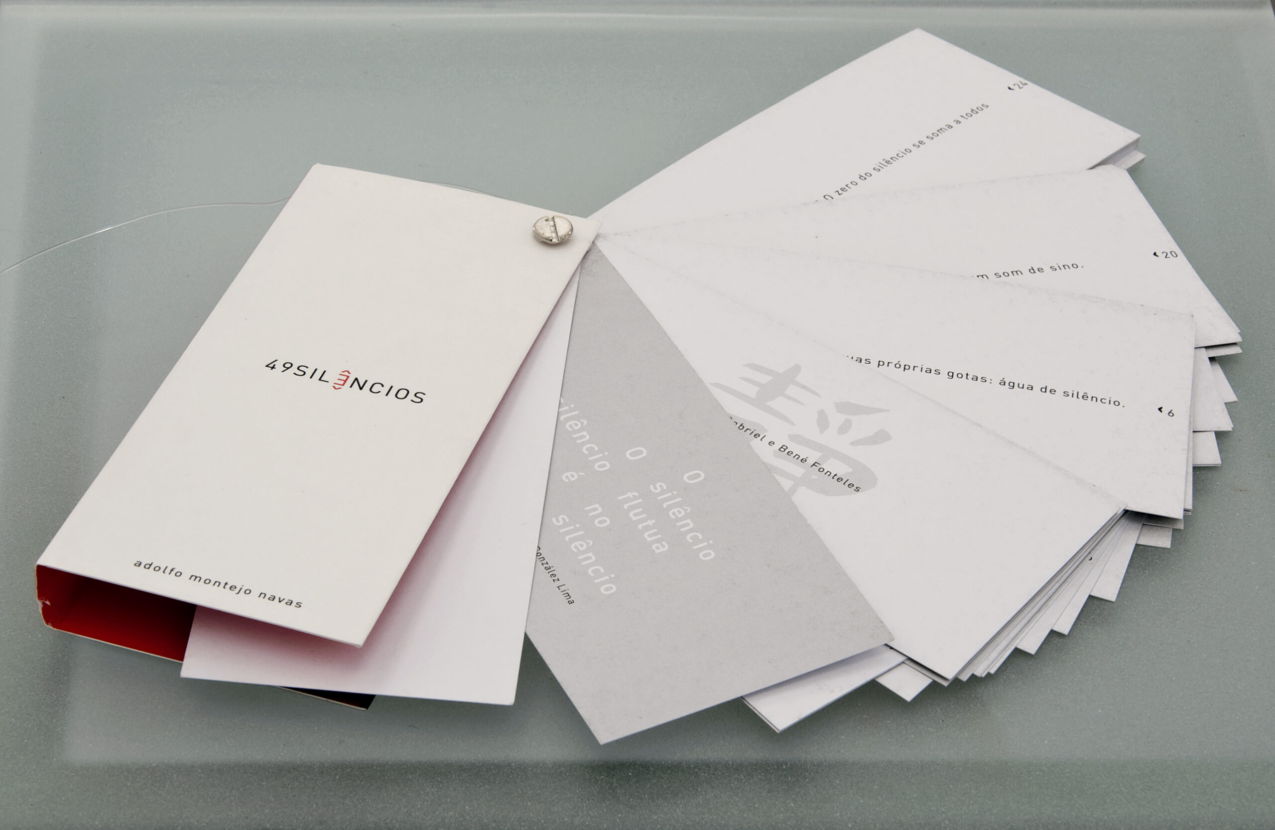 Adolfo Montejo Navas