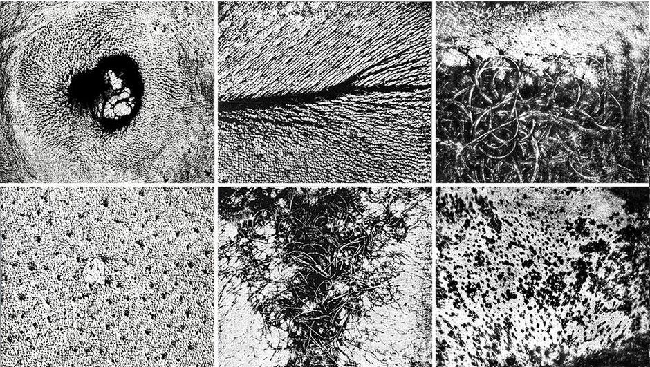 33398288_1709644285757437_5102834246192463872_n